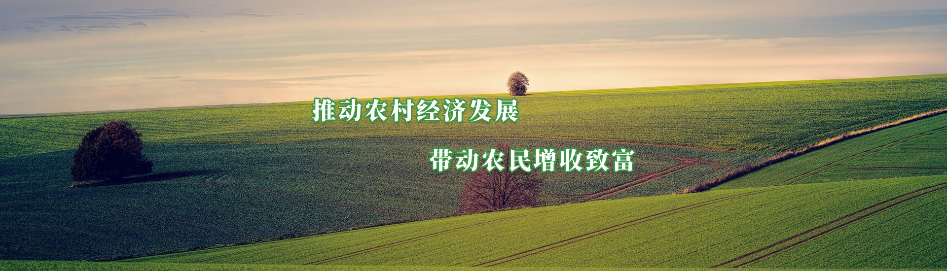 臨夏州凱潤農(nóng)牧投資發(fā)展集團(tuán)有限公司